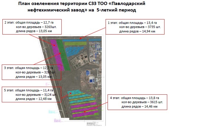 ПНХЗ реализует новый проект по озеленению санзоны