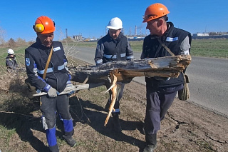ПМХЗ зауыт айналасындағы санитариялық-қорғау аймағын үнемі тазалайды және абаттандырып отырады
