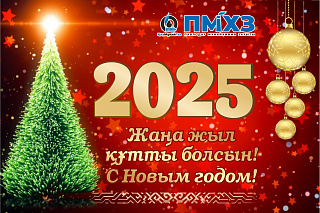 Поздравление с Новым 2025-м годом от Генерального директора ТОО «ПНХЗ»