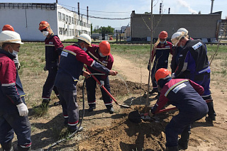 Дүниежүзілік қоршаған ортаны қорғау күніне орай ПМХЗ бірнеше экоакция өткізді