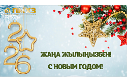 Поздравление с Новым 2026-м годом от Генерального директора ТОО «ПНХЗ»