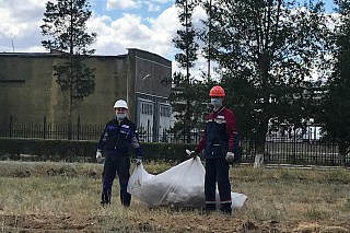 ПМХЗ Павлодар қаласының санитарлық тазарту жұмыстарына қатысты